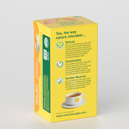 3D Back View of Nature's Cuppa Organic Turmeric, Ginger and Cinnamon Tea Bags 50